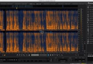 19742Audio Restoration – Editing – Mastering
