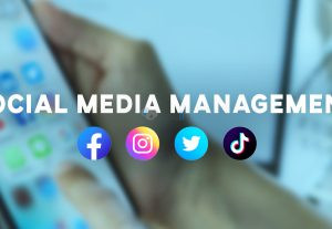 108214Social Media Management