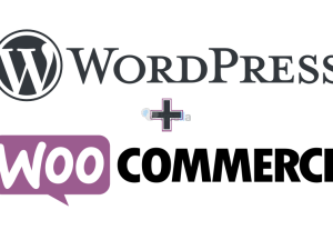 160341Κατασκευή Eshop με WordPress – Woocommerce